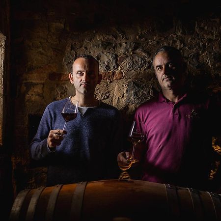 Wine Resort Colsereno Montalcino Zewnętrze zdjęcie