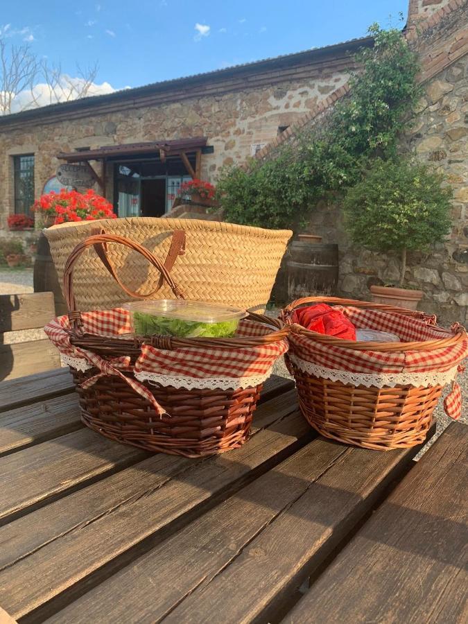 Wine Resort Colsereno Montalcino Zewnętrze zdjęcie