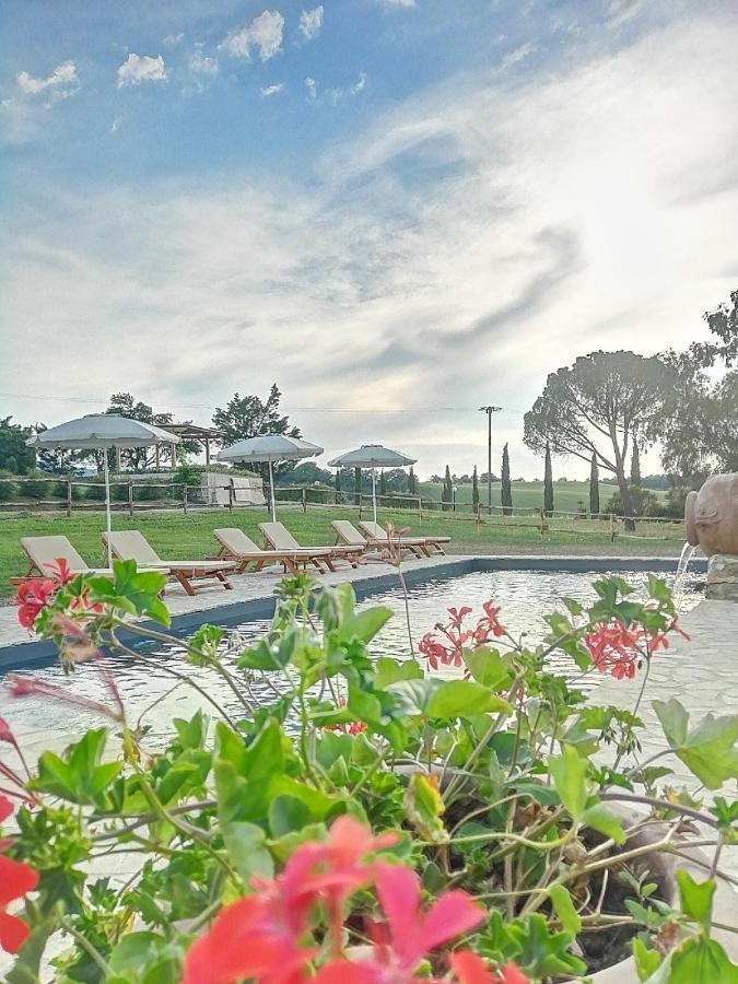 Wine Resort Colsereno Montalcino Zewnętrze zdjęcie