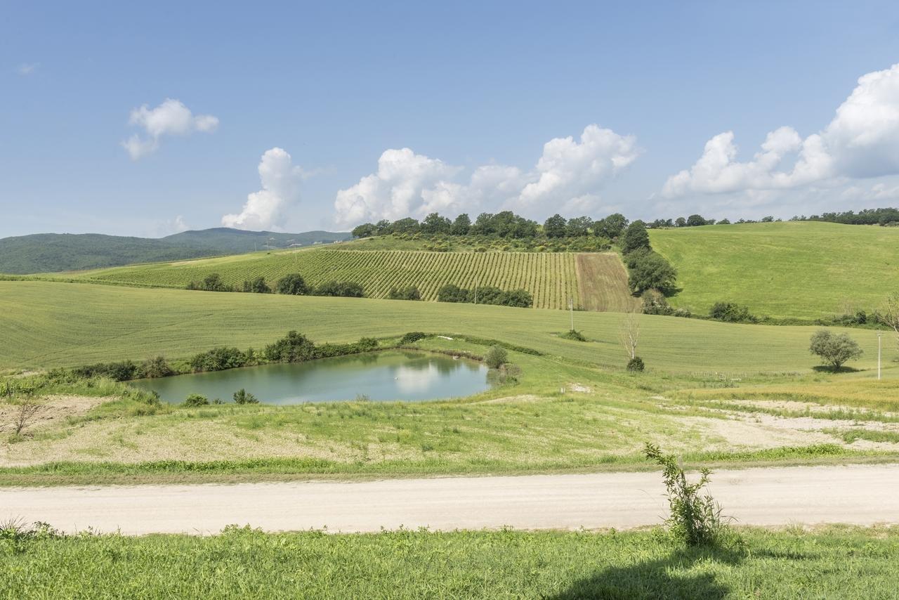 Wine Resort Colsereno Montalcino Zewnętrze zdjęcie