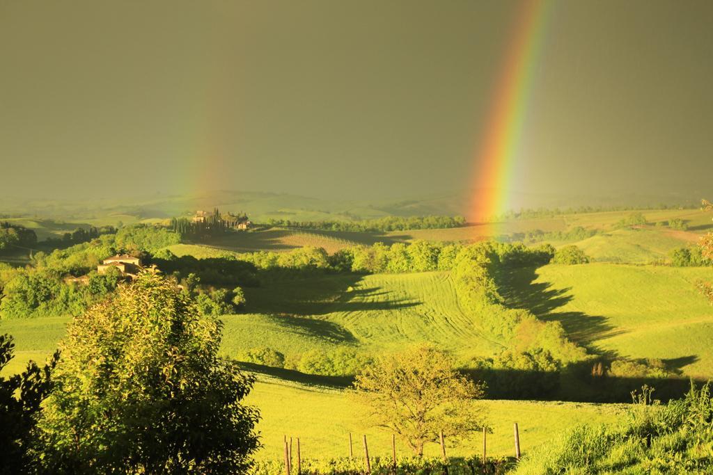 Wine Resort Colsereno Montalcino Zewnętrze zdjęcie